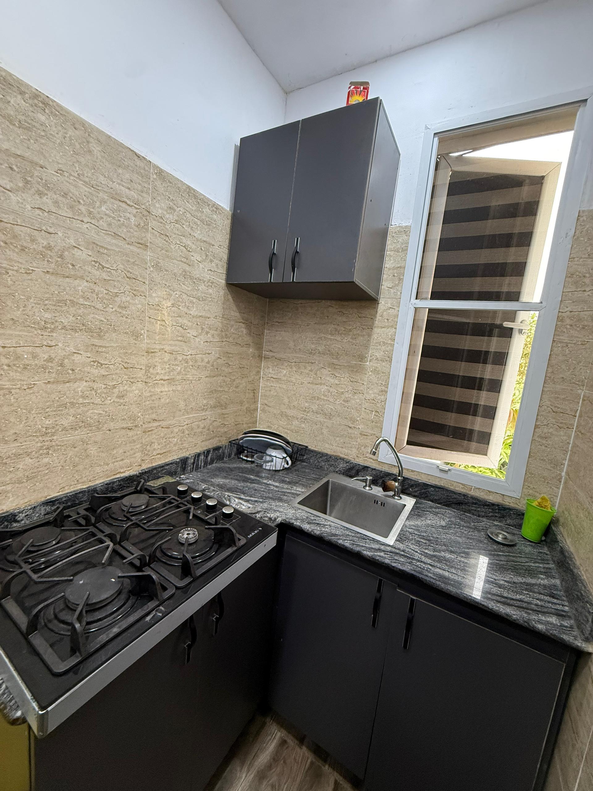 SPACIOUS STUDIO APARTMENT WITH POOL IN IKEJA* photo 5