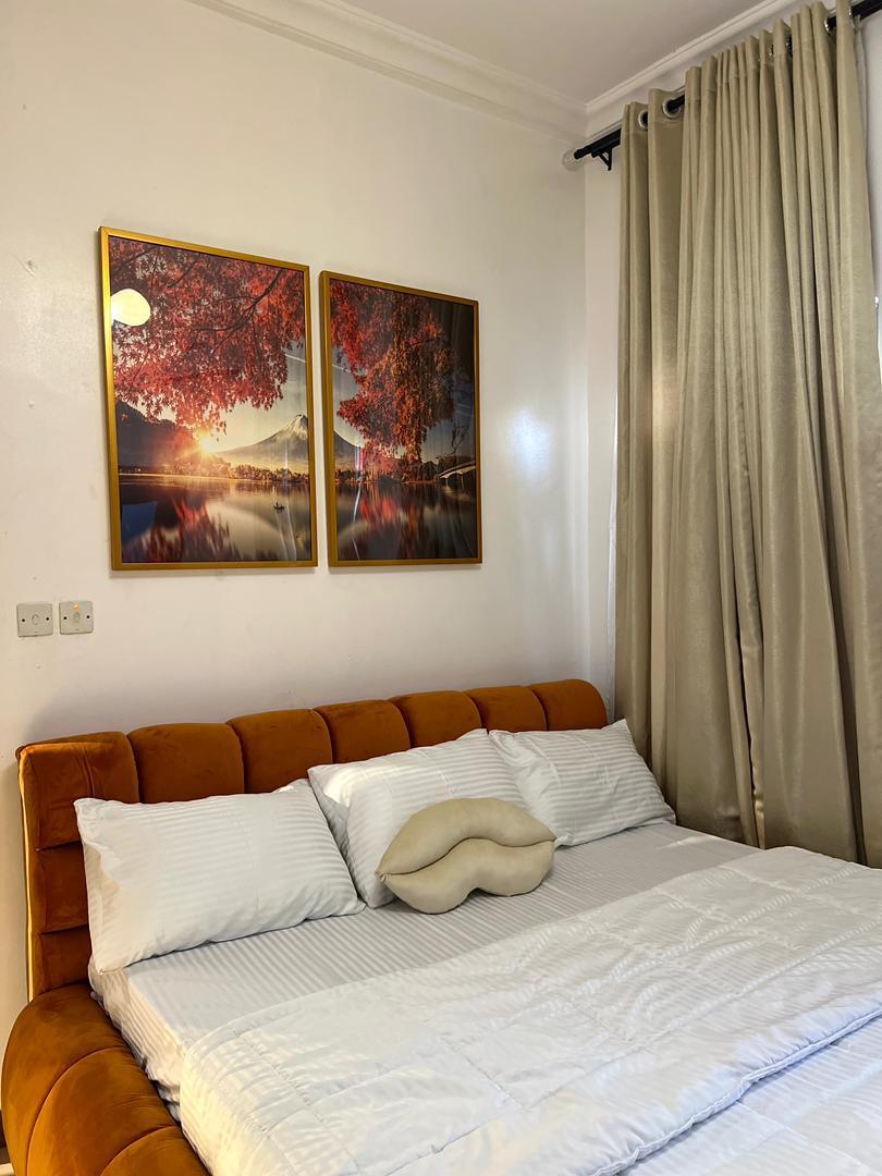Luxury One bedroom Apartment in a well Secured and Serene Estate.
photo 5